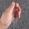 5 Pieces 40ml Test Tubes with Cork Stopper 25*100mm Glass Tubes Terrarium Spice Jars Bottles Vials for Craft Lab Accessory DIY 5