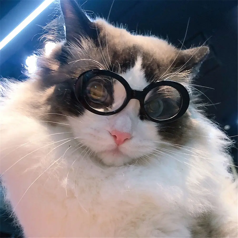 Fashioning Cat Glasses Round Frames - PeticaDeals