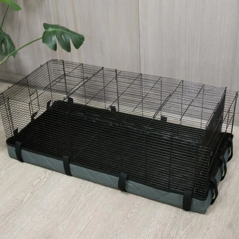 Guinea