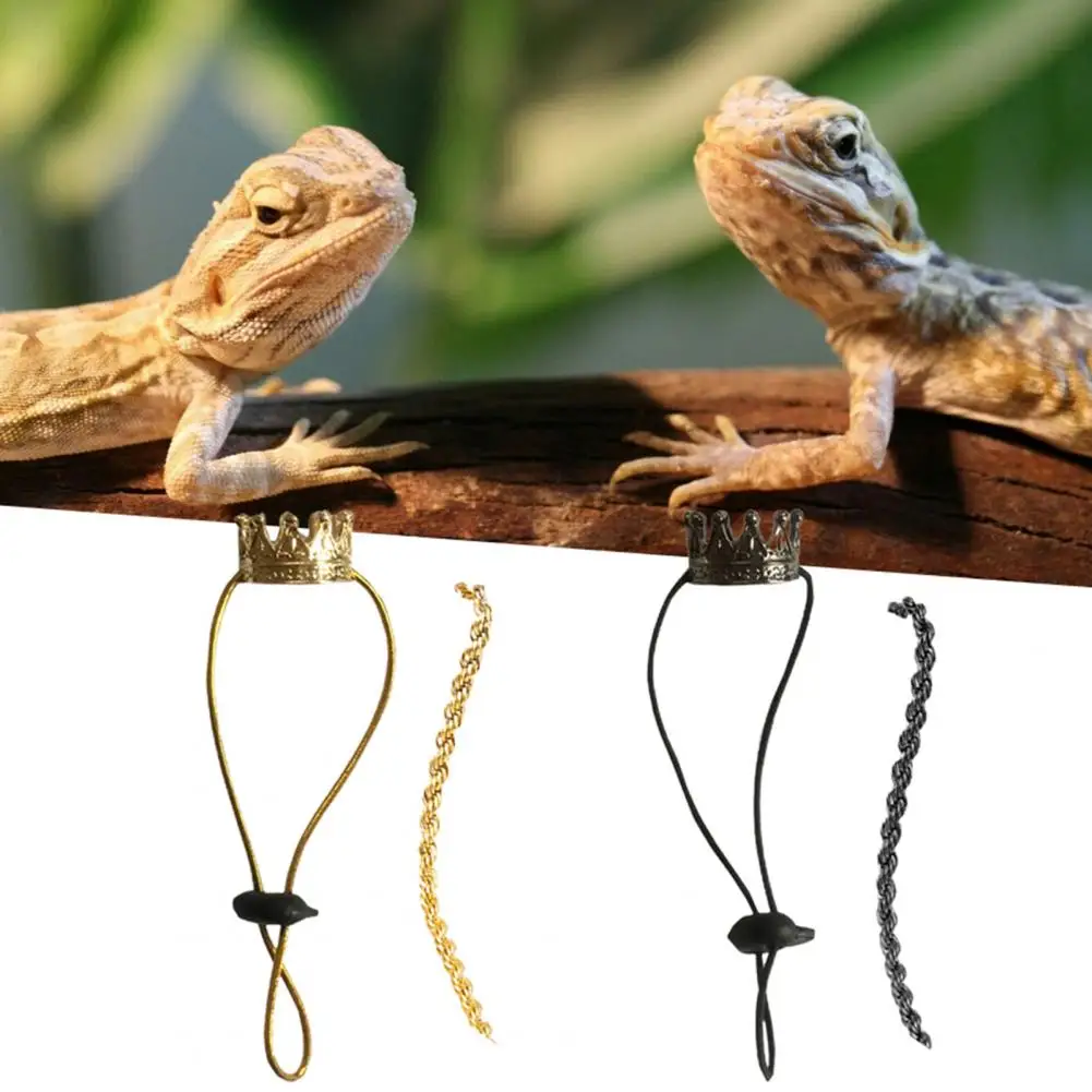 1 Set Crawling Pet Necklace Useful Alloy Lizard Transform Outfit Bearded Dragon Lizard Crown Necklace for Festival
