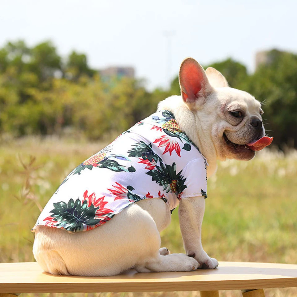 DualPet Hawaiian Dog Clothes French Bulldog Pet Clothes Summer Pet Clothing Dog Cat Shirt for
