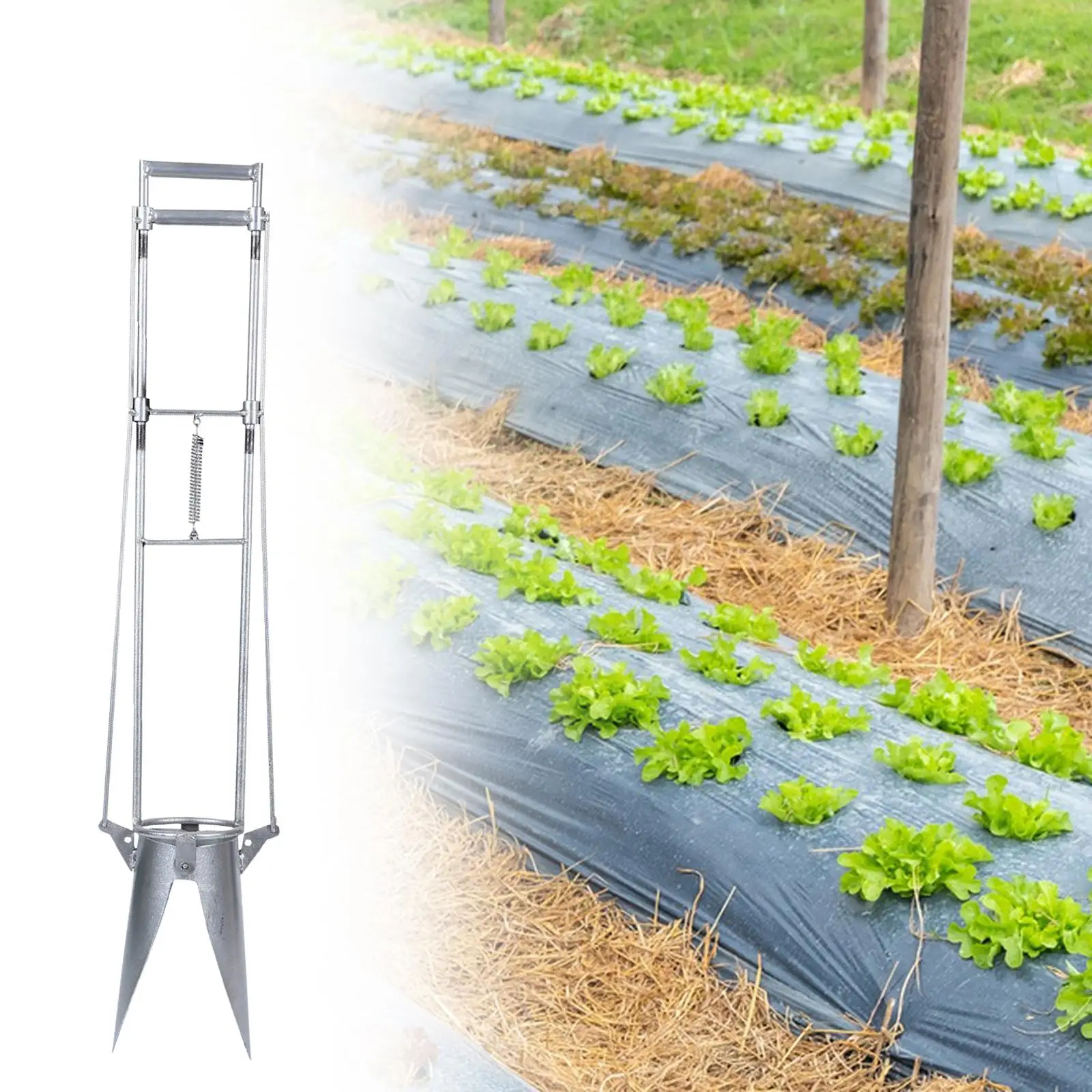 Garden-Seedling-Transplanter-Long-Handle-Ergonomic-Semi-Automatic-Planter-Plant-Transplanting-Seedling-Spreader-for-Greenhouse.jpg Kerti Palánta Transzplanter Hosszú Fogantyú Ergonómikus Félig Automatikus Ültetvényes Növény Átültetése Pehat Sprecker Üvegházhoz - Image 4