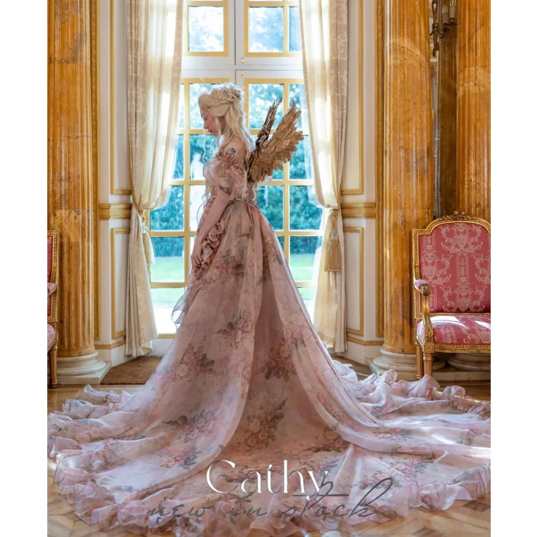 

Cathy Baby Pink Prom Dresses Long Train A-line فساتين السهرة Elegant Sleeveless Floral Print Chiffon Vestidos De Noche 2024