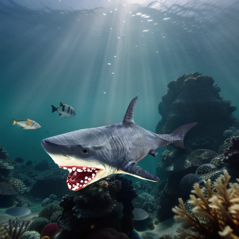 Realistic Megalodon Shark Educational Toy