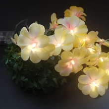 

Creative DIY Frangipani LED String,AA Battery Floral Kits Room Light,Wedding Event Party Garland Decoration