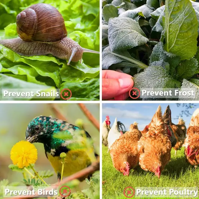 Növényi Csengő Edény Maximális Könnyű Sebességváltó Rugalmas Virágfedél Könnyen Lefedhető Cloche Kerti Ellátás - Image 5