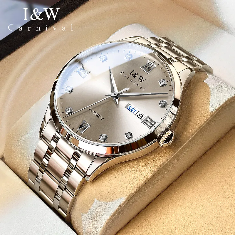 Switzerland Luxury Brand I&W Men's Watches Japan Import NH36A SIIO