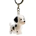 Black spotted dog