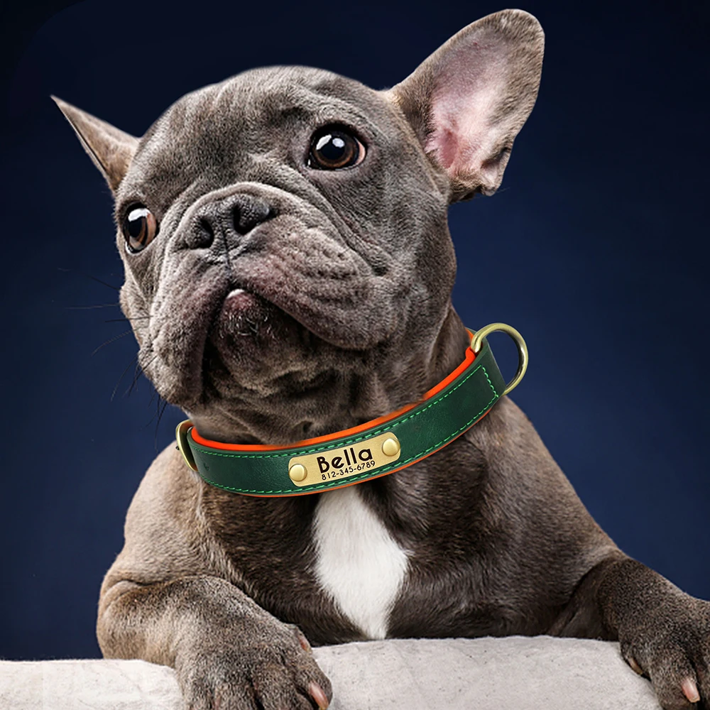 JASGOOD Lederen hondenhalsband voor kleine, middelgrote en grote honden, verstelbaar, zacht, ademend, leer, gewatteerde puppyhalsband, zwaar belastbare, waterdichte klassieke halsband, roze, S