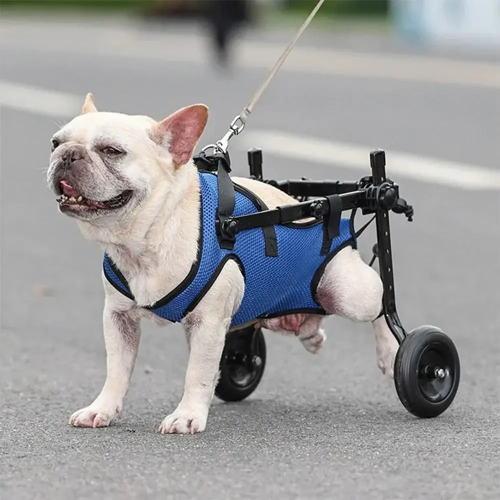 

Wheels Durable Dog Pet Light Walk Blue Disability Walking Wheelchair Bracket Legs Cart Hind Adjustable Booster