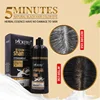 Natural Plant Hair Dye Easy To Use Fast Black Hair No Side Effect Wash Dye 2 In 1 Shampoo 500ml hair dye 2