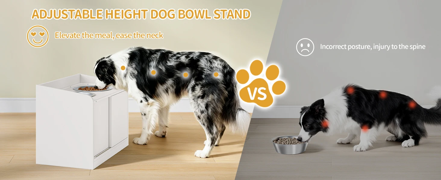 Bol surélevé pour chien avec rangement