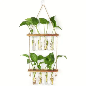 Wall Hanging Propagation Station 1