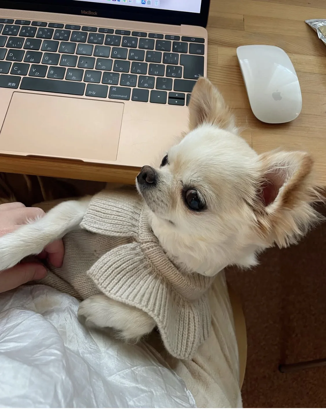 微信图片_20221115233816.jpg