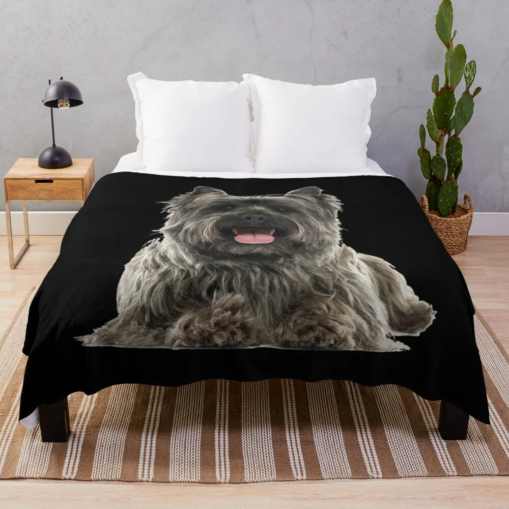 

Cairn Terrier Throw Blanket Luxury Blanket Plaid Bed blanket Blanket Fluffy Giant Sofa Blanket