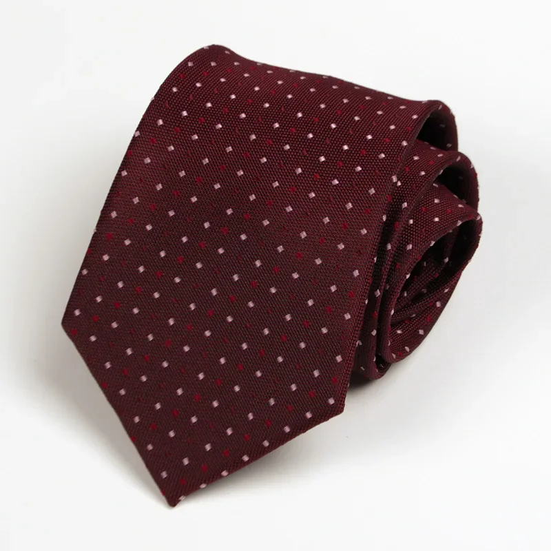 Cravate de Costume Professionnel pour Homme