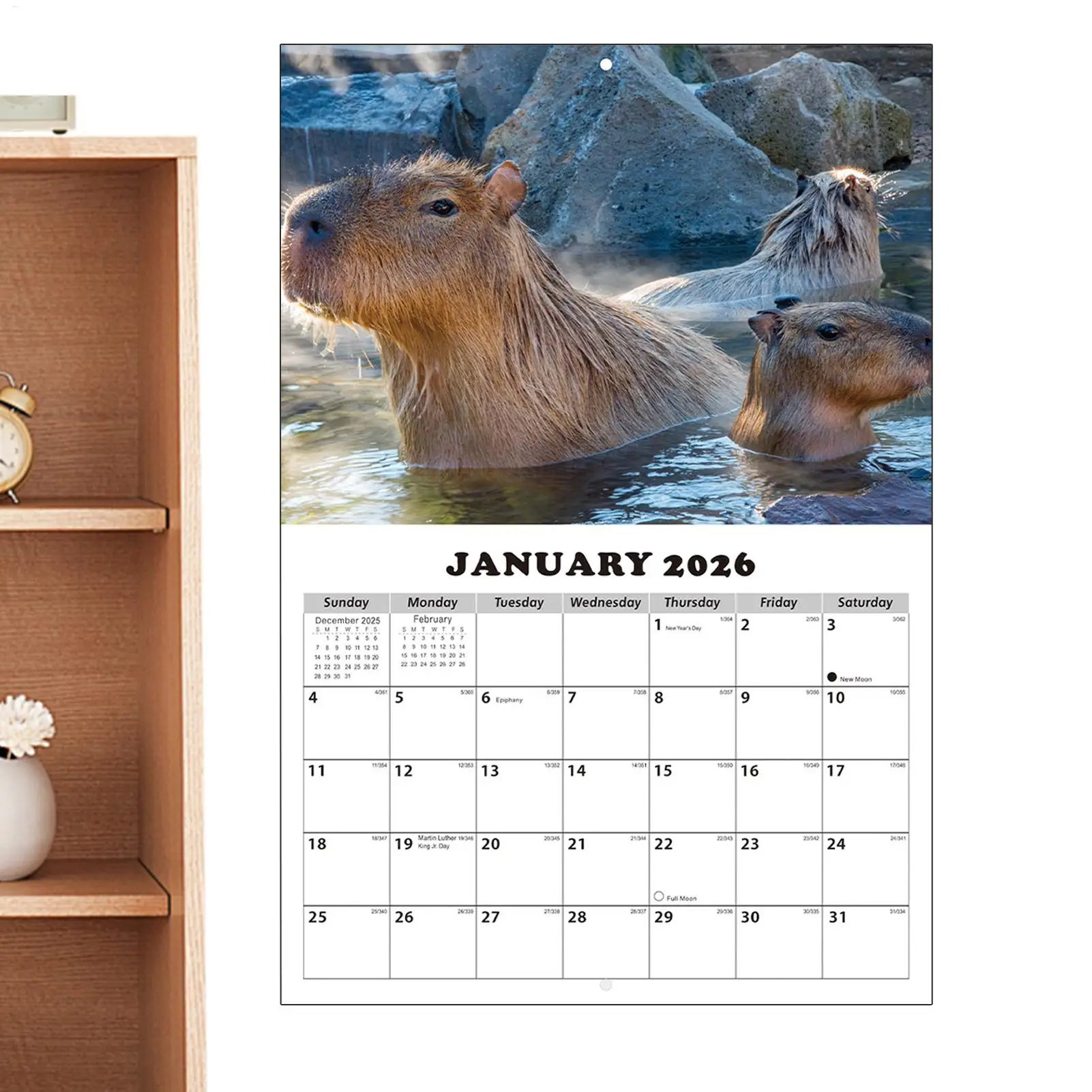 Calendar 2026-2027 Capybara-Themed Anti Ink Bleed Planner 13 Months Wall Calendar January 2026 with Julian Dates for Home School
