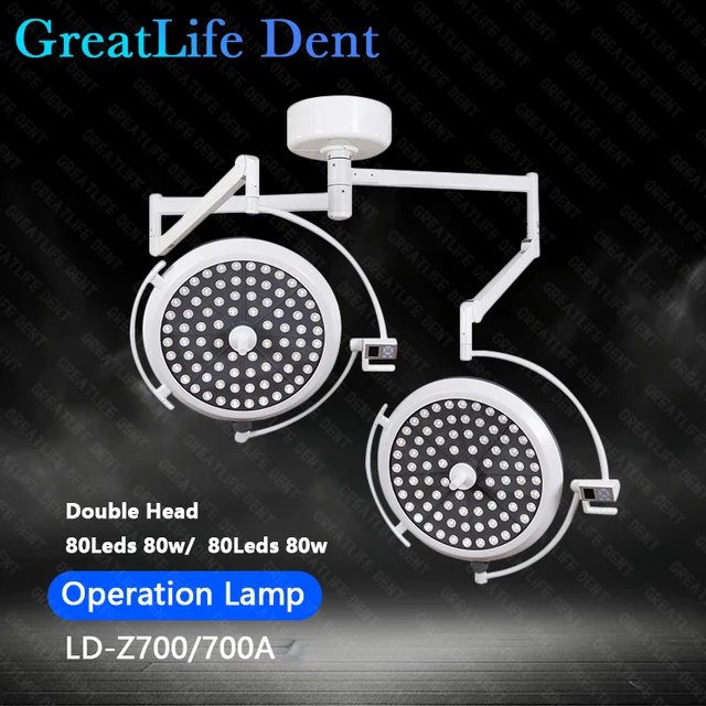 GreatLife Dent 160w 160 Leds Double Head Dome Cold Shadowless Operation Lamp Ceiling Wall Mounted Dental Pet Exam Light Lamp
