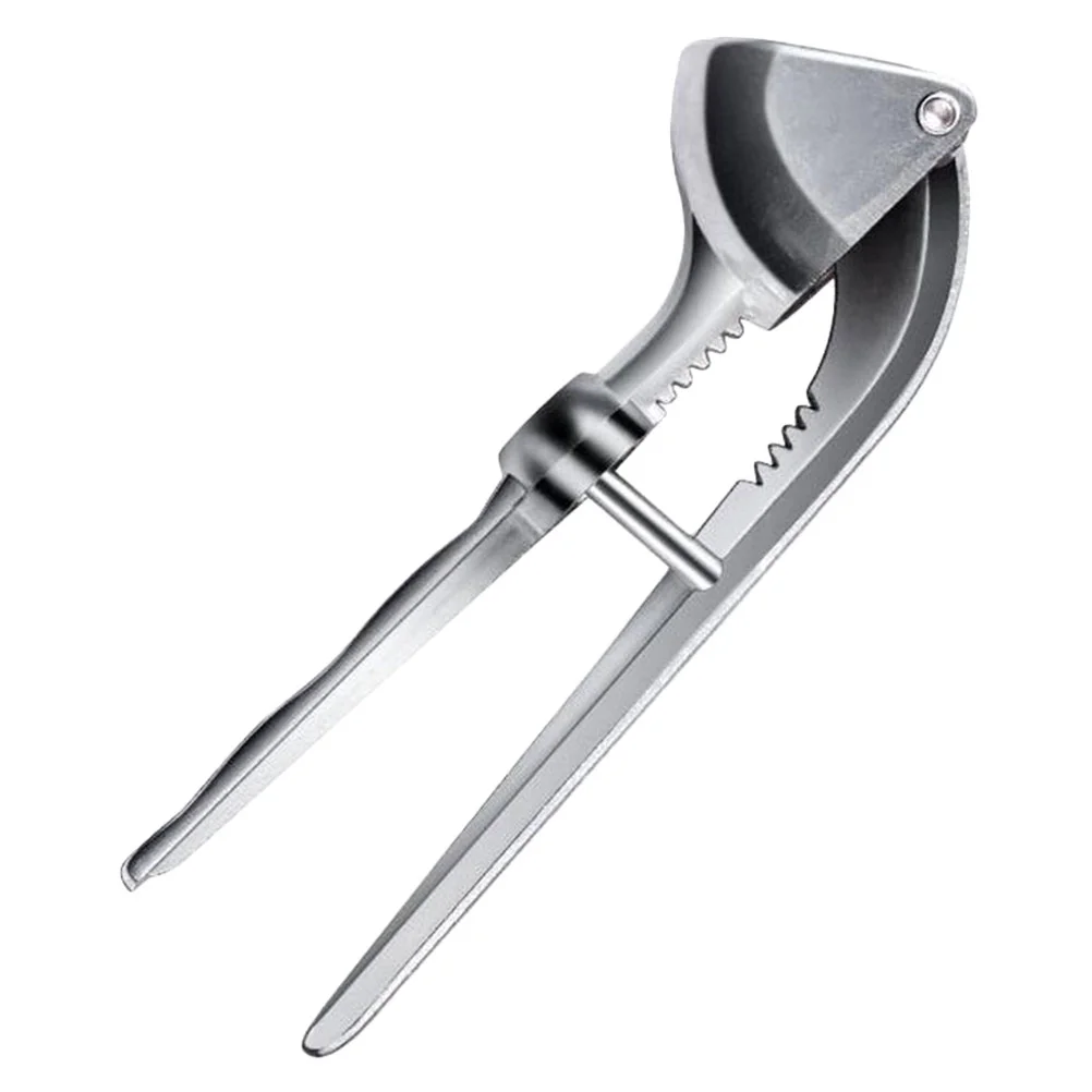 Frantoio Per Aglio In Acciaio Inossidabile Spremiaglio Per Aglio Spremiaglio Da Cucina Frantoio E Tritacarne Smasher Per Aglio