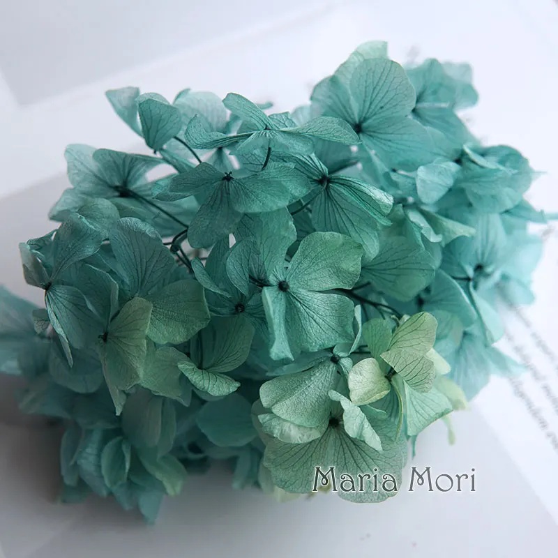 

Gradient Color Big Petals Macrophylla Hydrangea Office Decor Preserved Flowers Home Decoration Anna Hydrangea Wedding Decoration