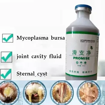 닭 및 오리, 부은 관절, 기침, 코골이, 마이코플라스마 부르사, 활막염, 눈 감음, 목, 영양 보충제