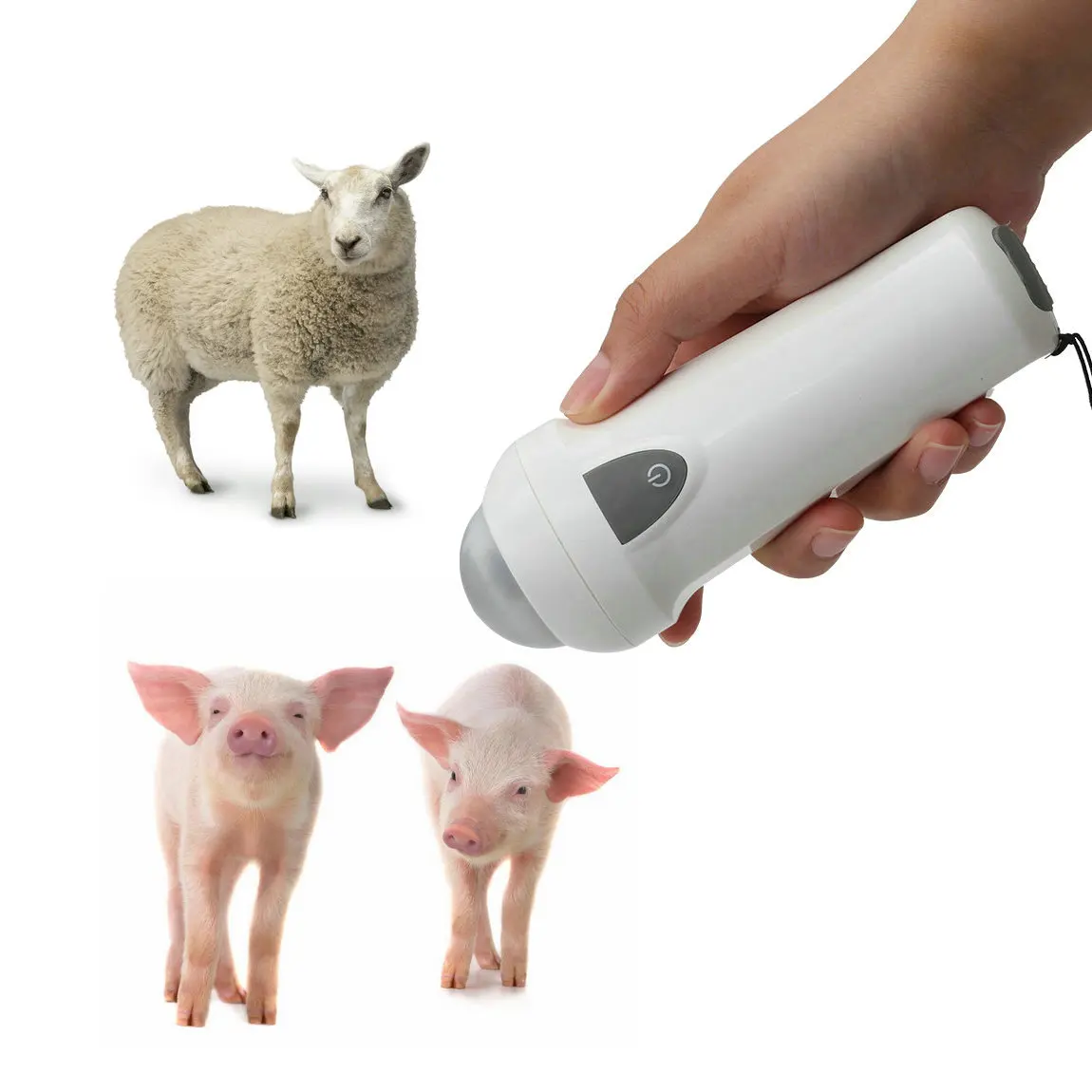 

wireless probe wifi pig sow sheep wireless Veterinary Ultrasound pig sheep s3 wireless ecografo