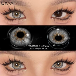 Enhance your look with UYAAI Vibrant Korean Fashion Color Contact Lenses - Captivating Gray, Blue, Green, and Purple Hues. (Wolf Gray)
