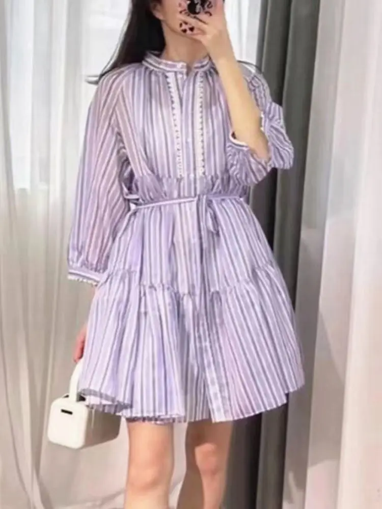 

Женское мини-платье в полоску, фиолетовое однобортное платье с воротником-стойкой и длинными рукавами-фонариками, с вышивкой