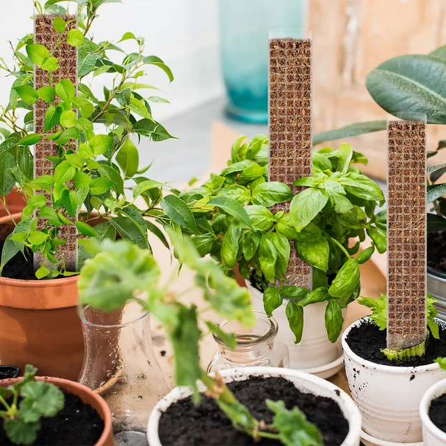 6Pc Növényi Moha Kókuszrúd Hajlítható Hegymászó Tartó Hosszabbító Pálma Szőlő Beltéri Erkély Kerti Udvar Virág Dekoráció - Image 5