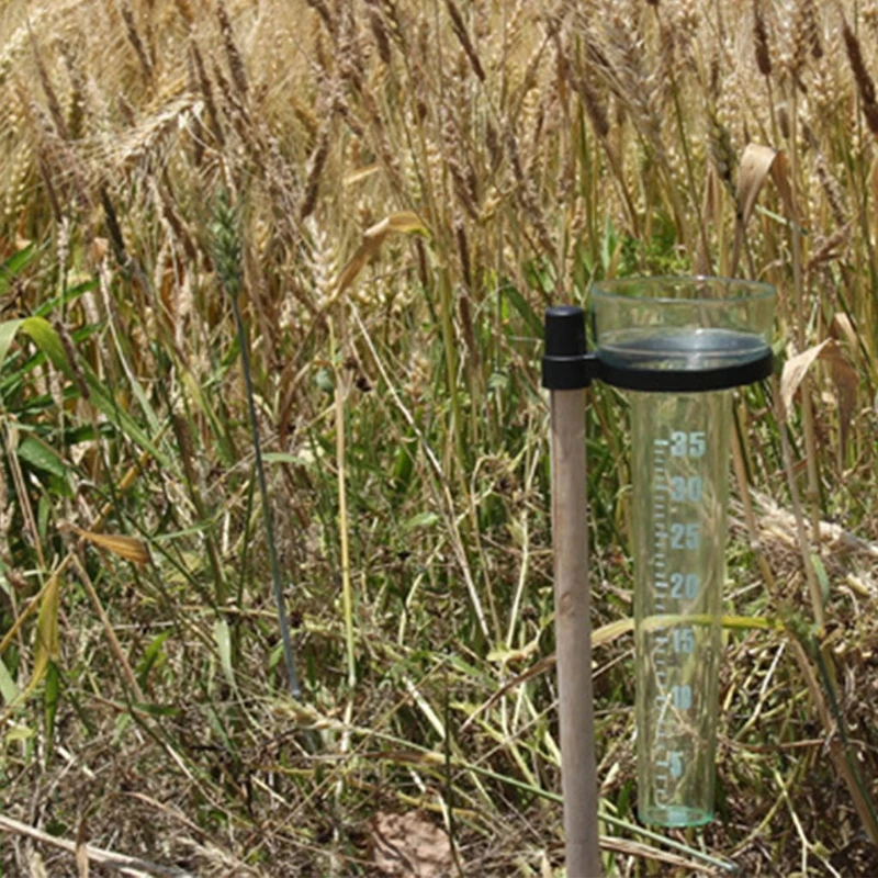 Walfront Tubo de pluviómetro de plástico preciso, tubo de repuesto para  medidor de lluvia Reino Unido Pluviómetro Medición para jardín al aire  libre