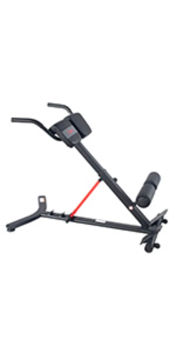 Sunny Health Fitness Hyperextension Roman Chair with Dip Station - SF-BH620062