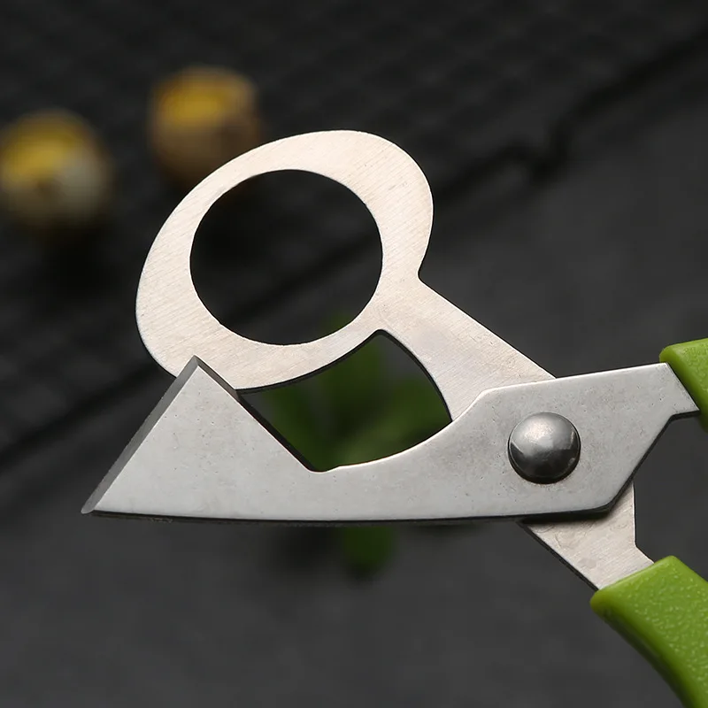 Multifunction Kitchen Tools Durable Quail Egg Shell Scissors Rust Resistant Stainless Steel Blade Cigar Cutters kitchen tools