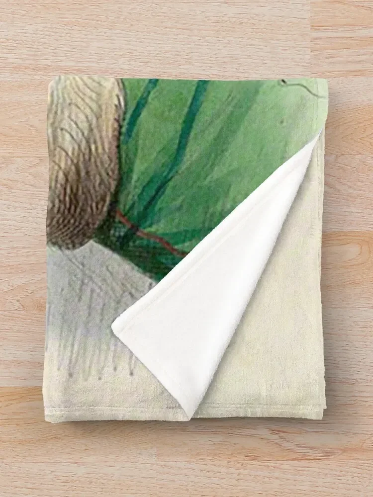 Queen Nzinga �÷� ������ ���, ǫ���� ���� ���, ���� ���