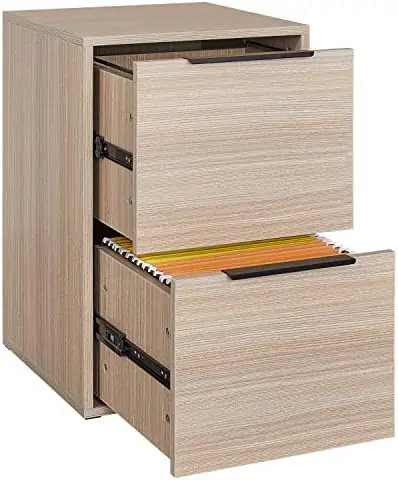 

File Cabinet 2 Drawer,Vertical Storage Filing Cabinet with Hanging Bars for Letter Size,File Storage Cabinet Used for Home Offic