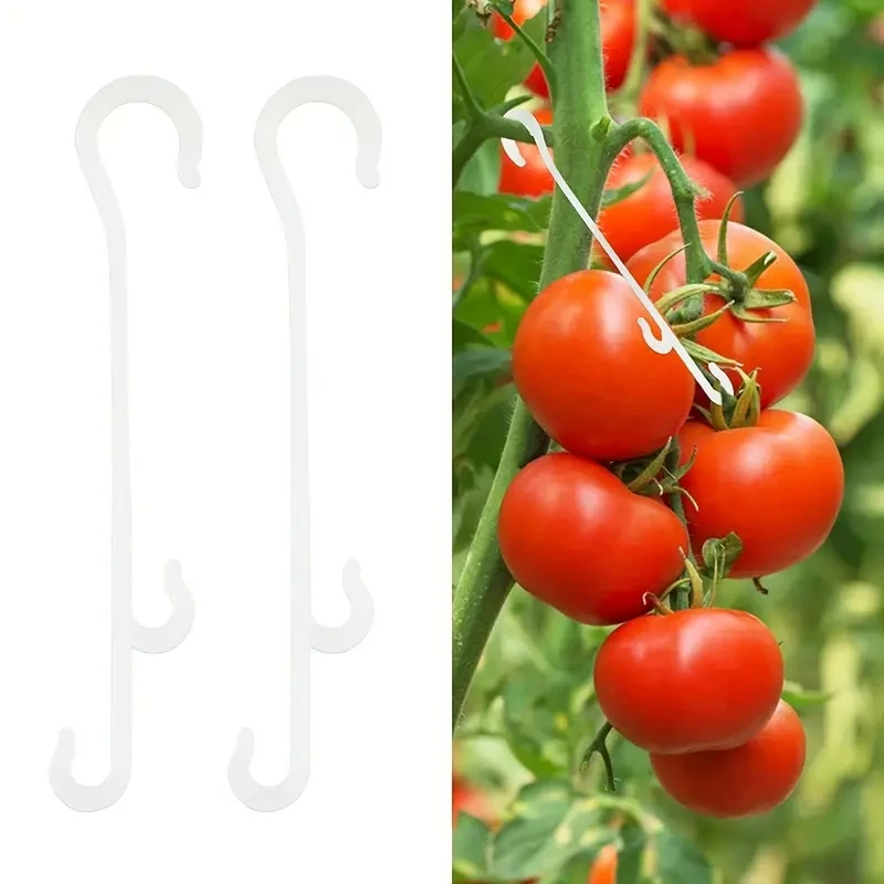 10pcs Tomato Support Hooks J-Hook Support Clips Prevent Tomato Branches From Breaking or Falling Off Support Pour Plante