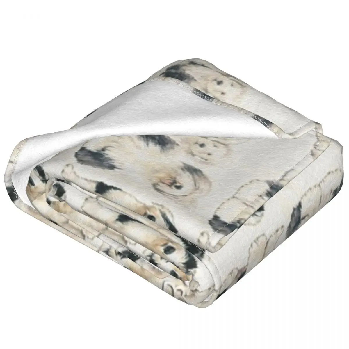 ������ ���� ��ġ�� ������ ���, ħ�� �� ħ�뺸, ��Ƽ�� ħ�뺸, ���� ����