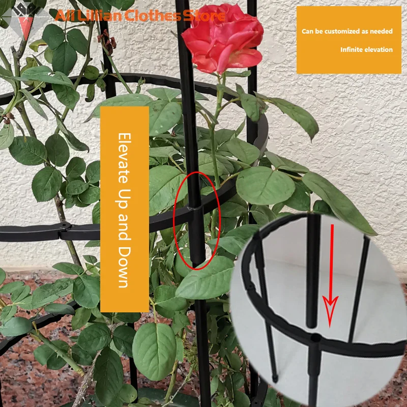 Tomato Plant Support Cages Set 3