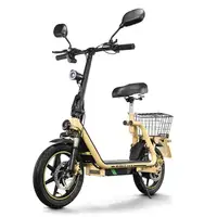 Trottinette électrique adulte TWOFISH M5 Elite-E, moteur 500W, pneus de 14 pouces, batterie 48V13AH, trottinette électrique pour trajets urbains, sièges amovibles 2