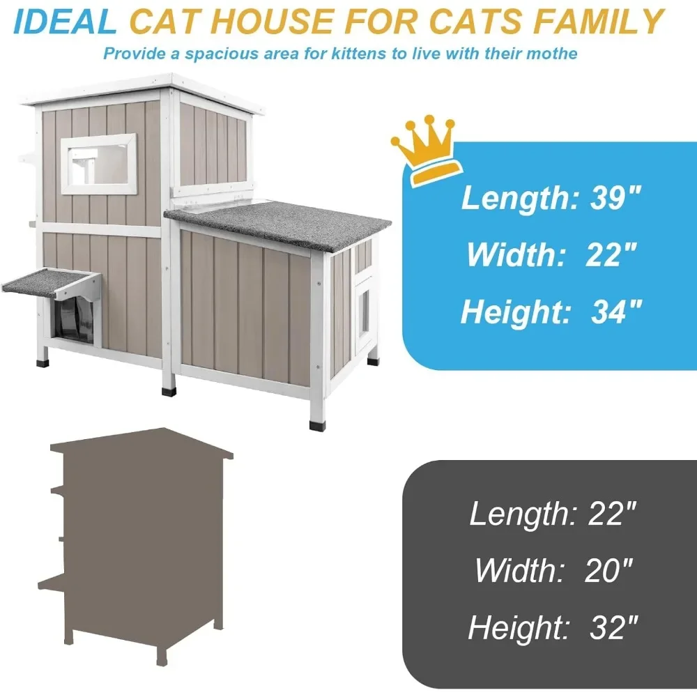 Feral Cat House 6