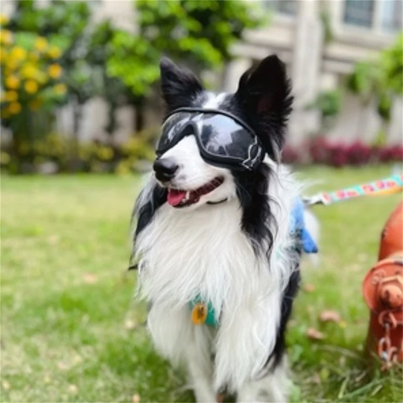 Title 12, Adjustable Pet Dog Goggles Sunglasses Anti-UV S...