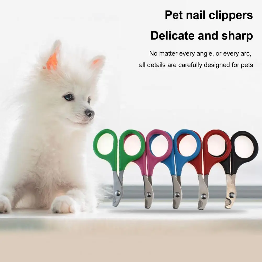 Dog Nail Trimmer Professional Pet Nail Clippers for Cats Dogs Sturdy Sharp Grooming Supplies for Easy Trimming Toe Pet Puppies