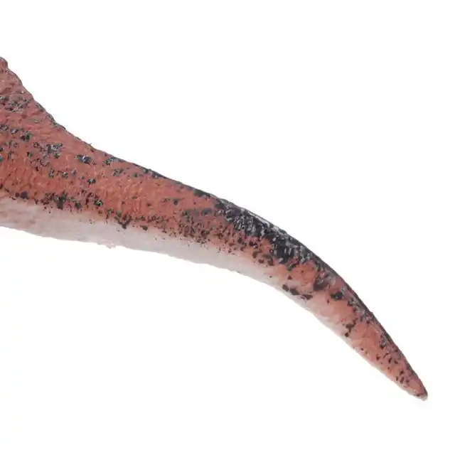 Dinosaur Model Simulated Decoration Pachycephalosaurus Plastic Dinosaur Figurine Toy for Friends Gathering for Party 4