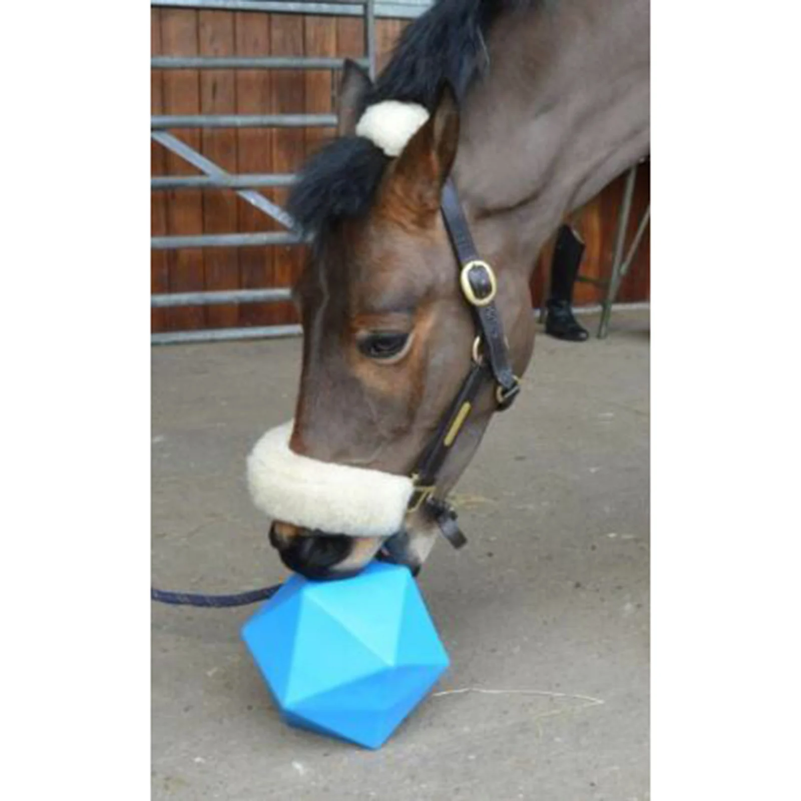 Funny Horse Treat Ball Equine Feeding Toy for Horse Stable Stall Rest