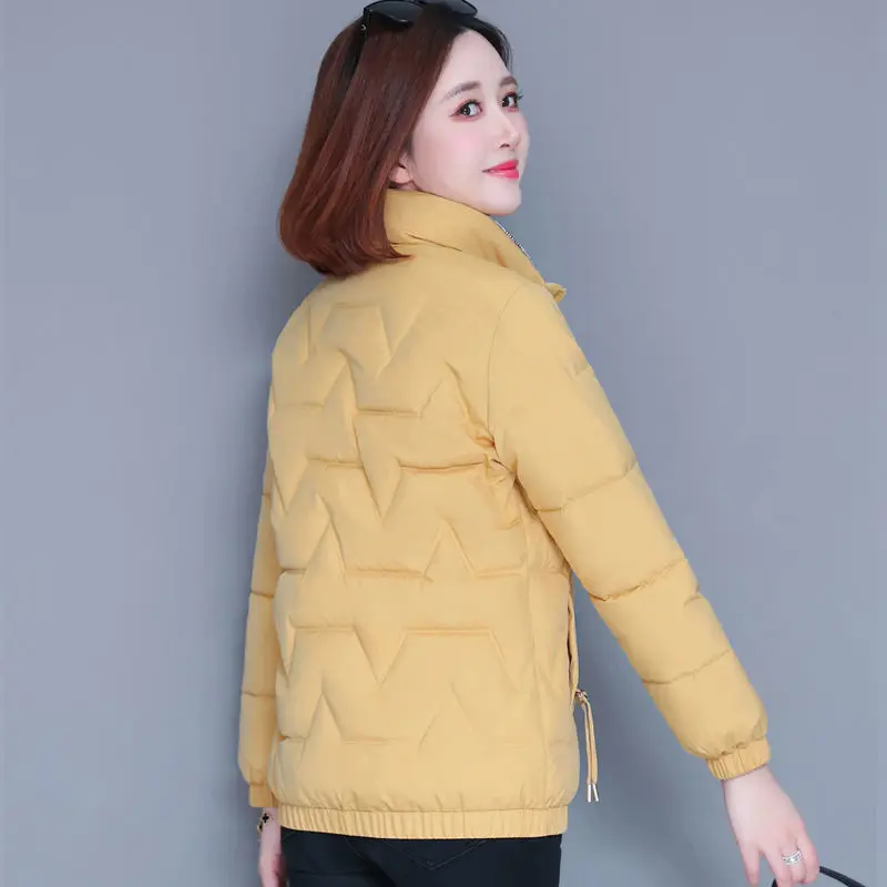 Рисунок 2 - Новинка 2022, зимнее Стеганое пальто