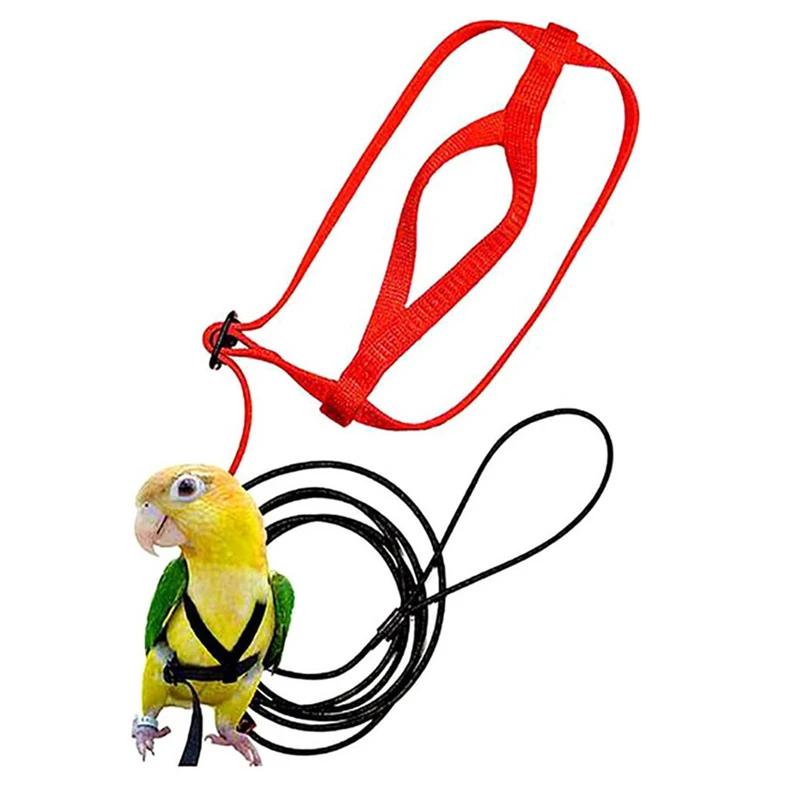 Bird Harness Leash Training Rope