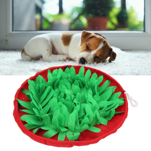 Washable Snuffle Mat for Dog, Sniffing Pad, Puzzle Toy, Slow Feeding Bowl,  Food Feeding, Small, Medium Nose Smell Training - AliExpress