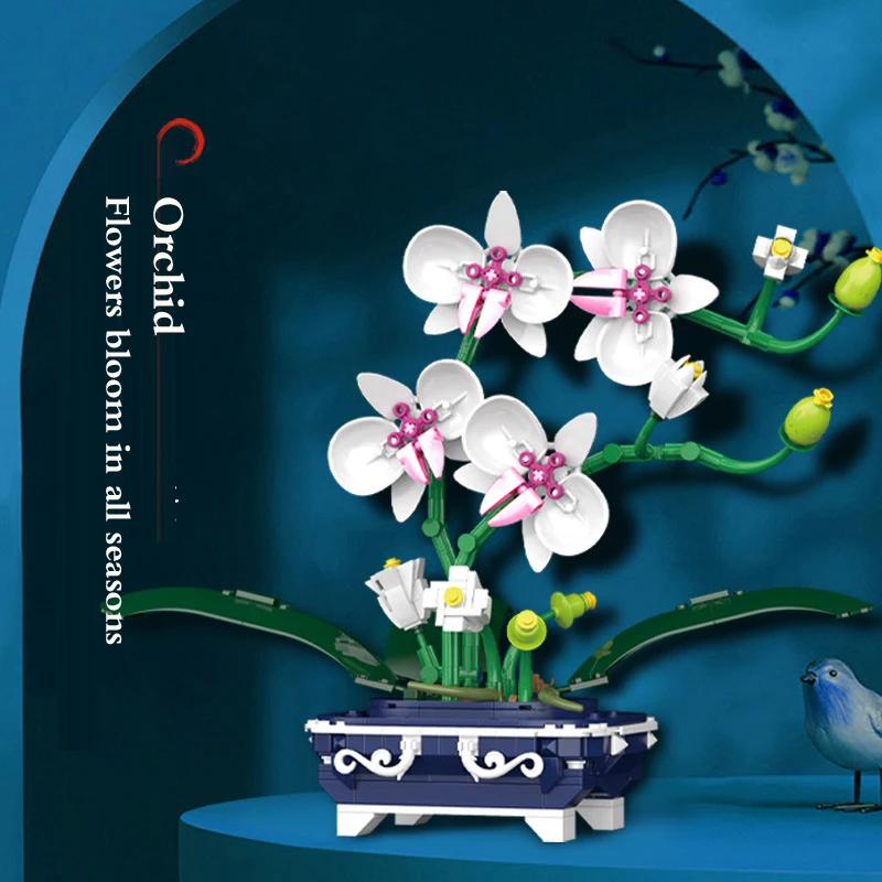 Орхидея Мини Купить