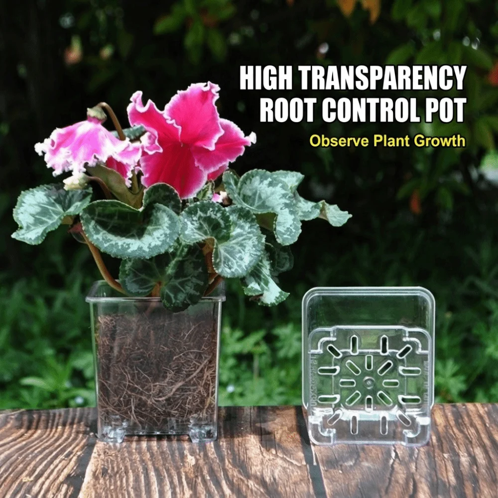 Clear Acrylic Square Flower Pot with Breathable Drainage