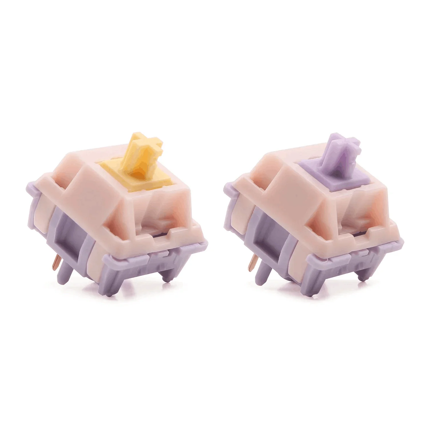 dsc-products
