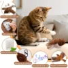 Remote Control Cat Toy Interactive Electric Fluttering Sparrow Realistic Bird Movements Engaging Pet Play Accessory 6